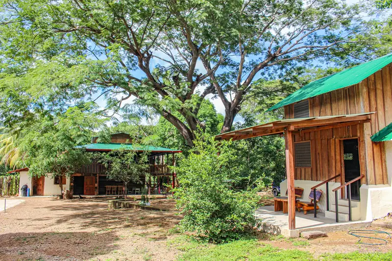The grounds of the finca under big trees