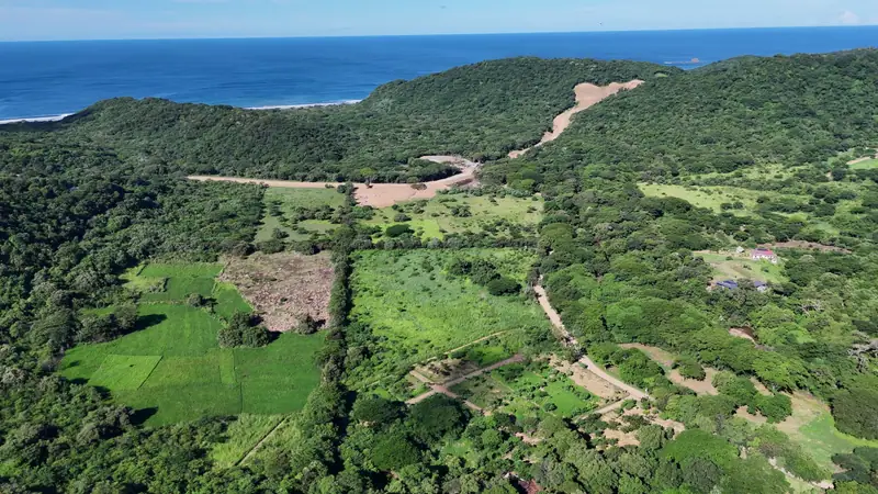 Aerial view of the lots of Las Planadas, green land crossed by paths