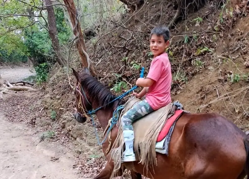 A child riding a horse on a trail