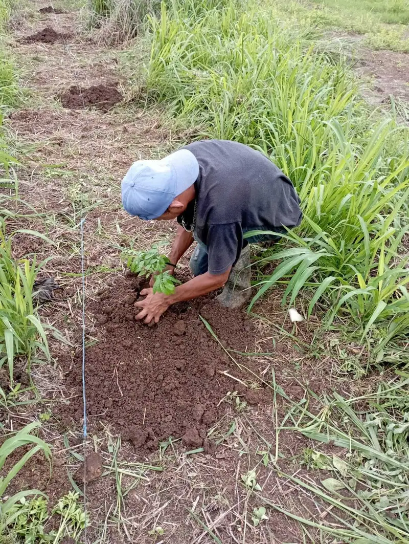 Jesús planting in the garden