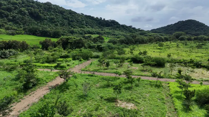 Green lots and the hills of Escamequita