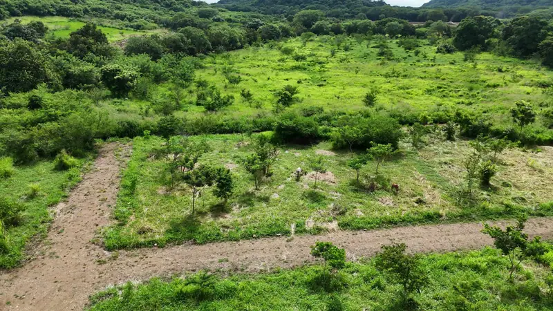 A lot bordered by a path, seen from above